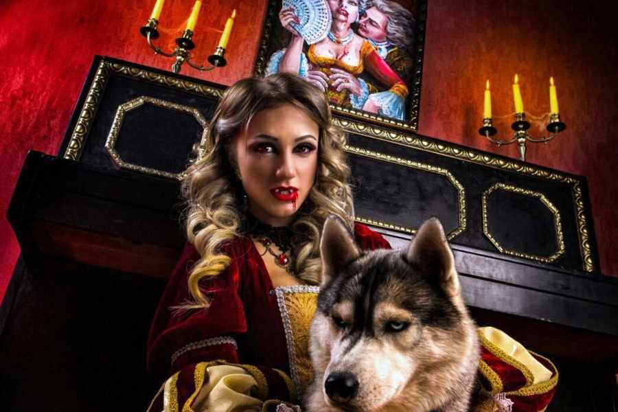 Квест в реальности Вампиры от компании Quest Quest Квест в реальности Вампиры от компании Quest Quest